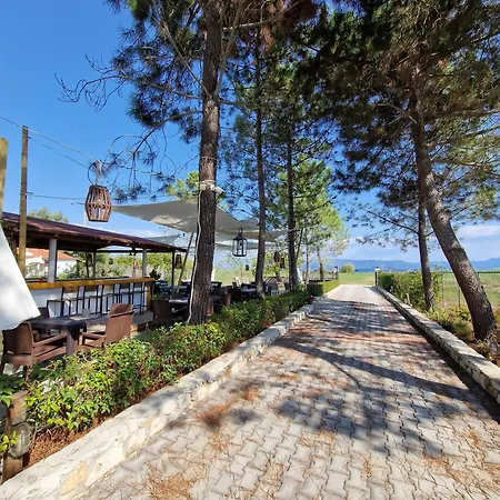 Apartment Alexandra 1 Lefkimmi (Corfu)